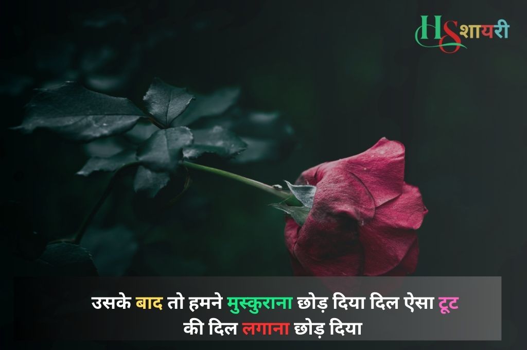 Heart Touching Sorry Shayari In Hindi