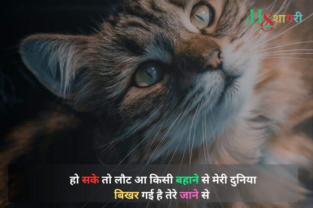 Sad Khamoshi Shayari In Hindi