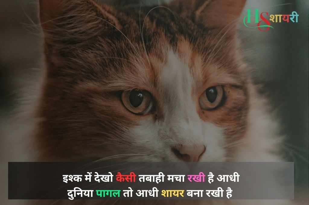 जिंदगी खामोशी शायरी
