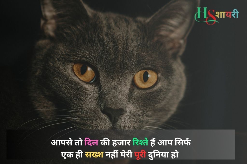 याद खामोशी शायरी