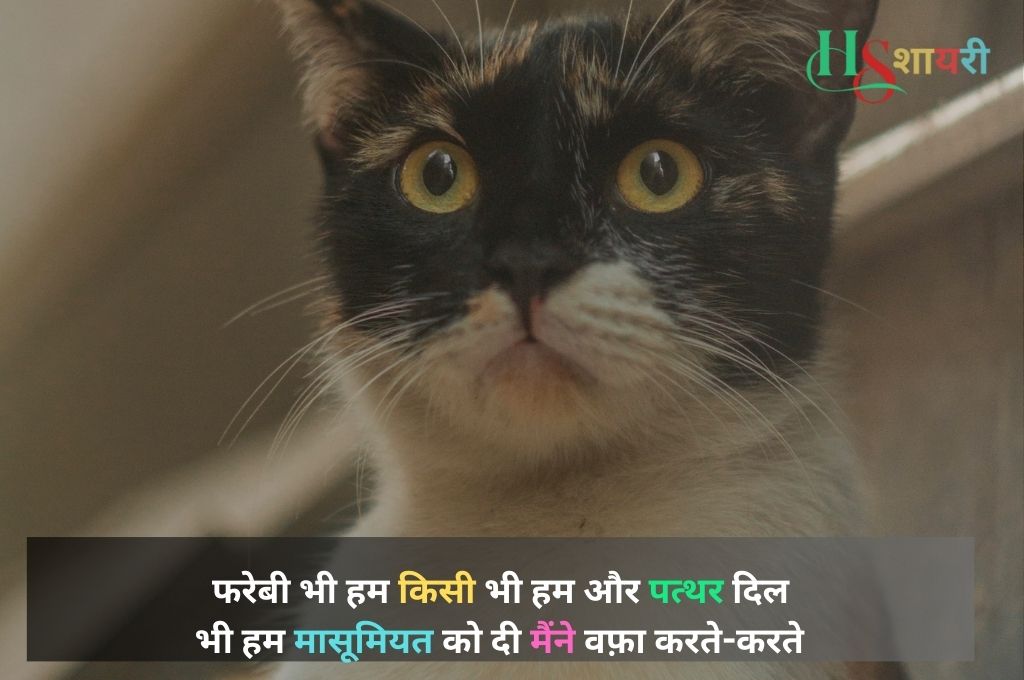 Rishte Khamoshi Shayari In Hindi