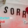 100+Best Sorry Shayari In Hindi| दिल से माफी मांगने वाली शायरी